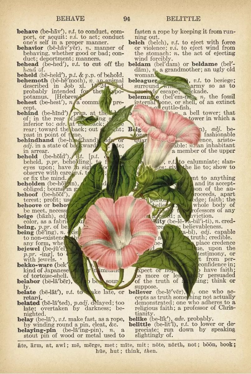 צמח ורוד לבן רטרו על טקסט - Artpicked - תמונות לפינת אוכל רטרו וינטג' פרחים בסגנון רטרו  - מק''ט: 330421