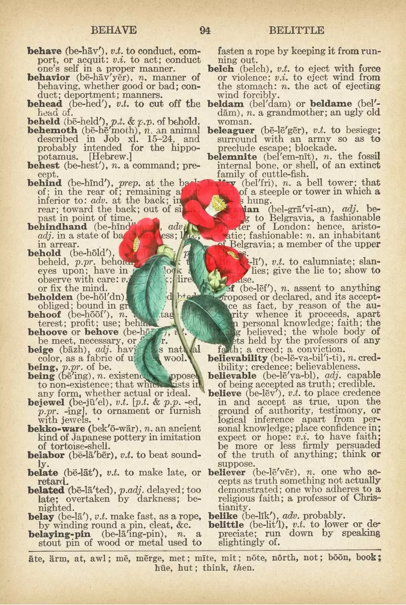 פרח אדום רטרו על טקסט - Artpicked - פרחים בסגנון רטרו  - מק''ט: 330435