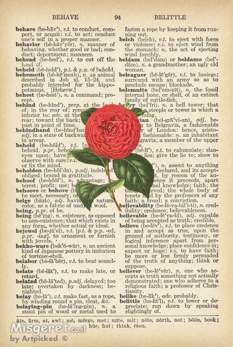 ורד ורוד רטרו על שיר