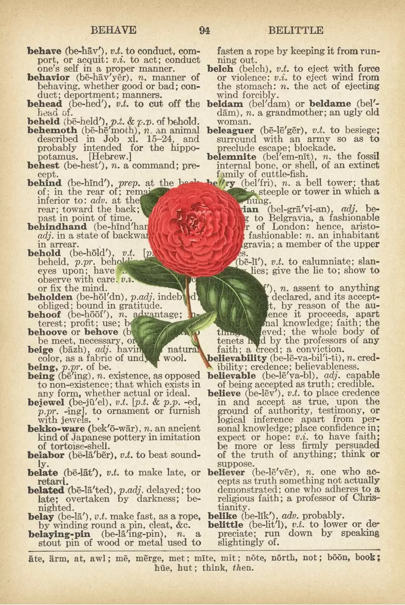 ורד ורוד רטרו על שיר - Artpicked - פרחים בסגנון רטרו  - מק''ט: 330437