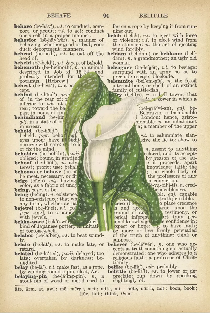 פרח לבן ירוק רטרו על טקסט - Artpicked - תמונות לפינת אוכל רטרו וינטג' פרחים בסגנון רטרו  - מק''ט: 330440
