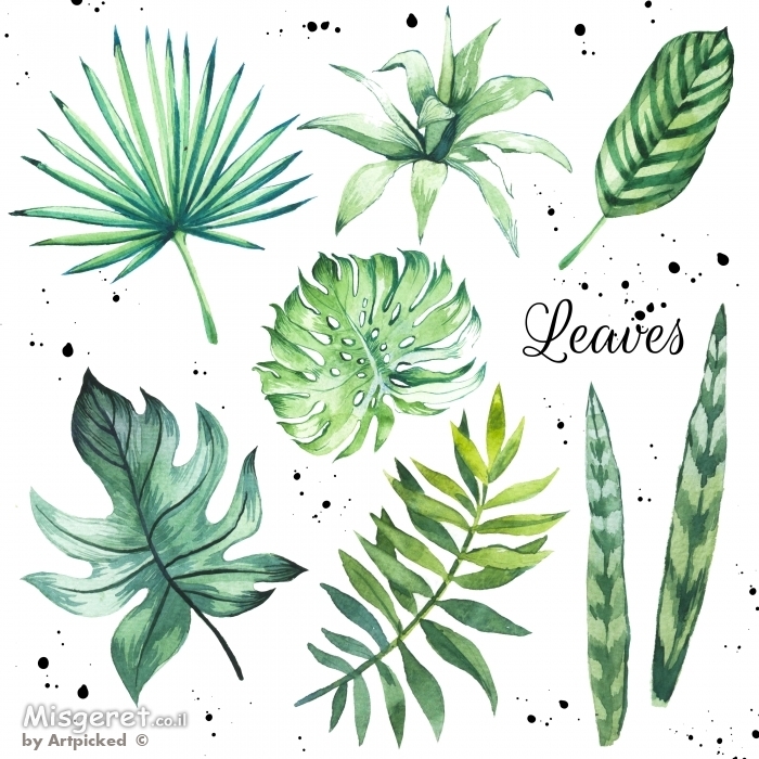 אוסף עלים בוטני