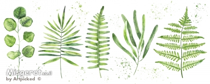 אוסף בוטני אופקי