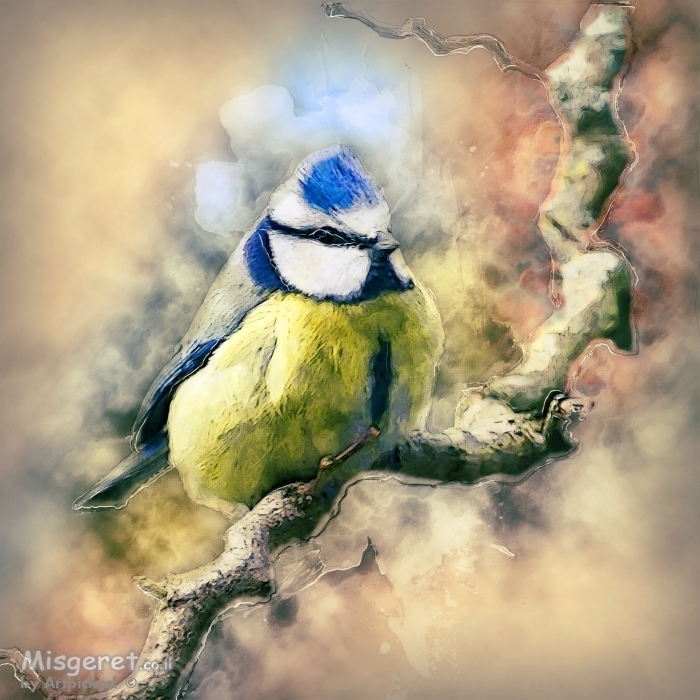 ציפור על ענף