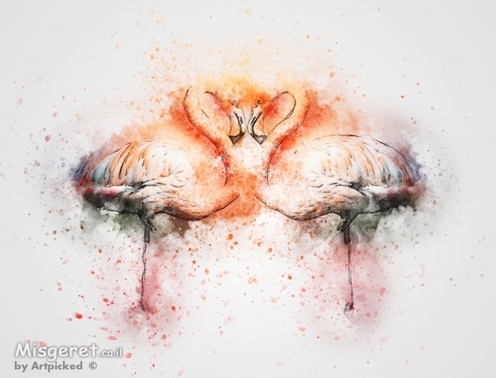 זוג פלמינגו