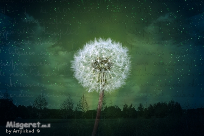 מאיר את הלילה