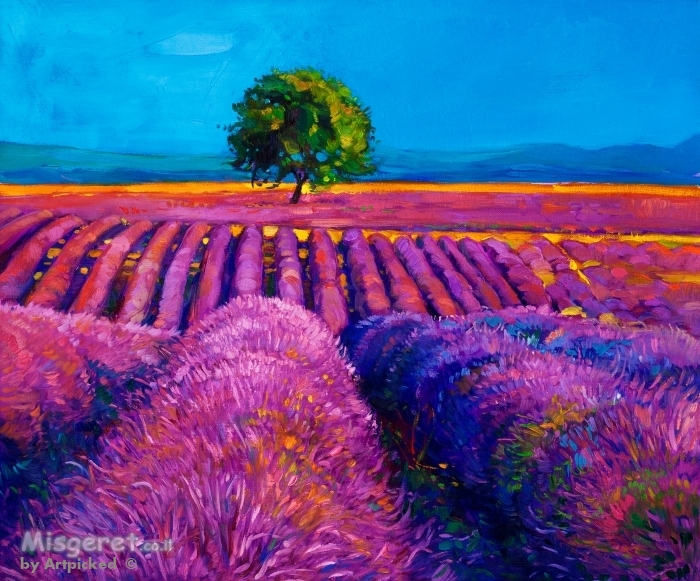 שדה פורח בסגול