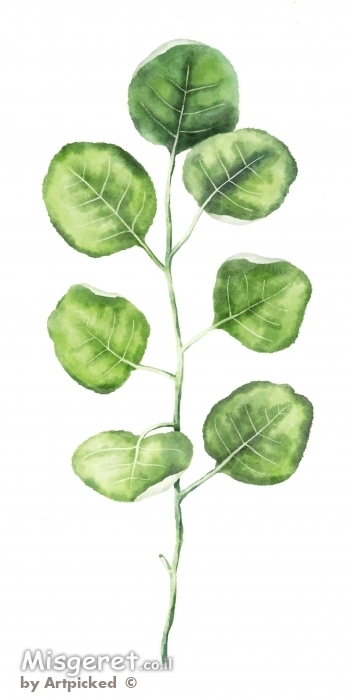 בוטני לקיר גלריה 5