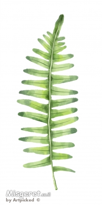 בוטני לקיר גלריה 3