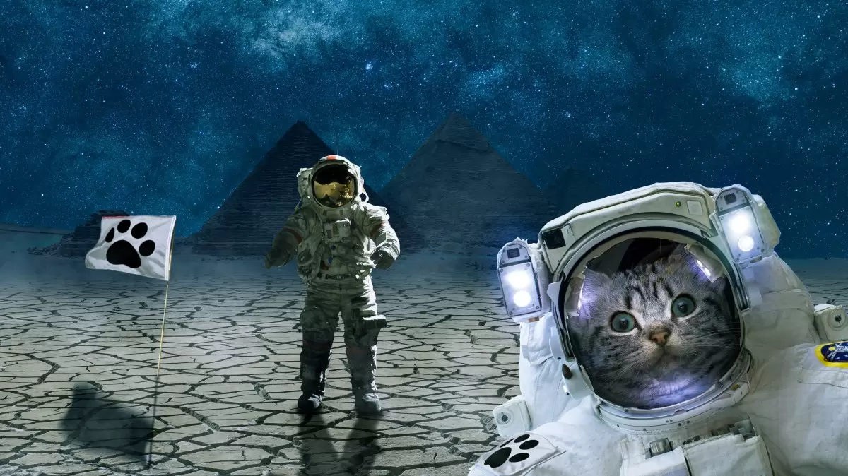 חתול בחלל החיצון - Artpicked - תמונות לחדרי ילדים סוריאליסטי תמונות קנבס זכוכית מודרניות  - מק''ט: 390675
