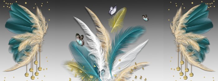 נוצות ופרפרי חלל