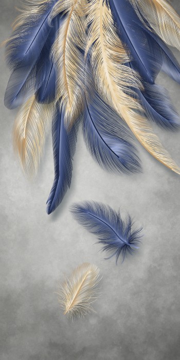 נוצות בכחול וזהב אנכי