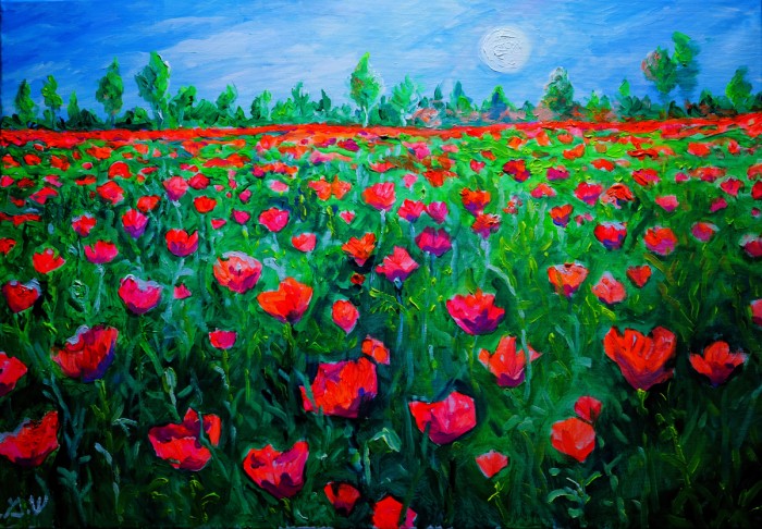 דרום אדום - פריחה בנגב