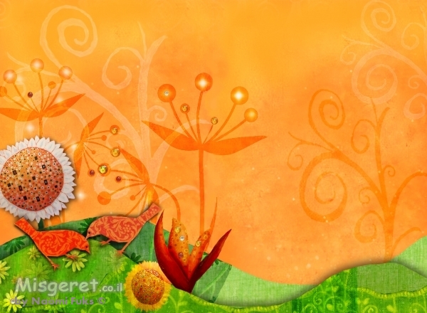 חלום מתוק 13