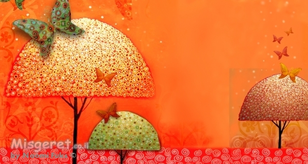 חלום מתוק 14