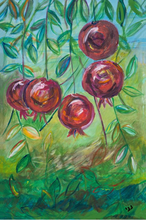 רימונים בזריחה