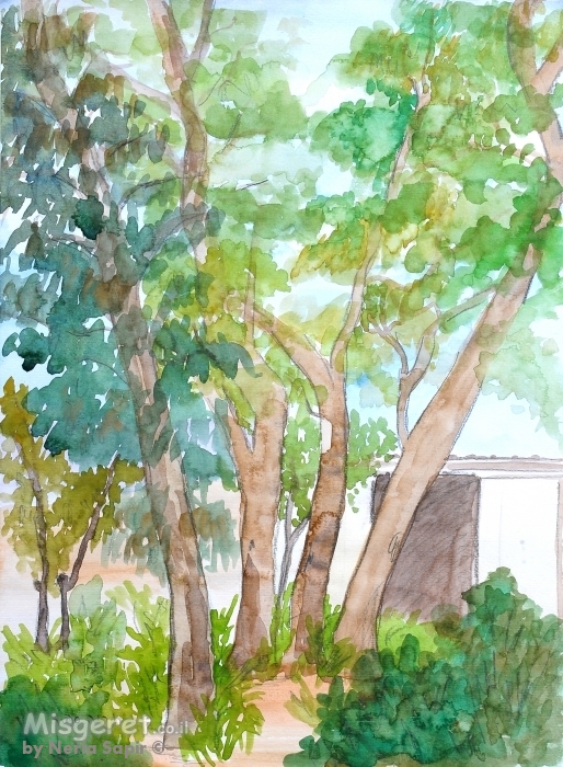 חורשה ומבנה