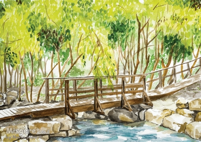 גשר מעל הנחל