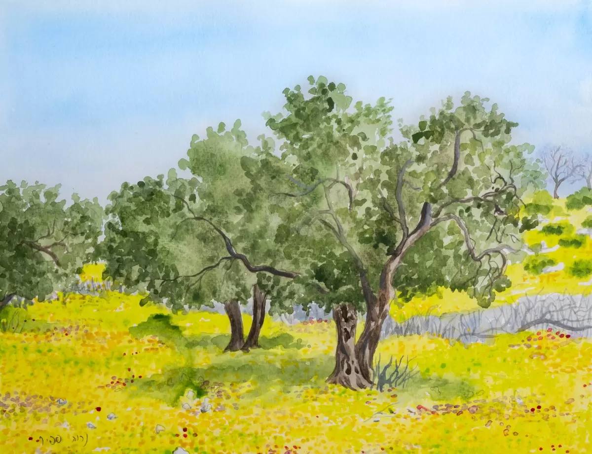 אביב במטע הזיתים - נריה ספיר - תמונות לפינת אוכל כפרית צבעי מים  - מק''ט: 395409