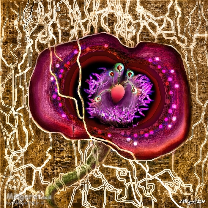 פסיפלורה צוענית