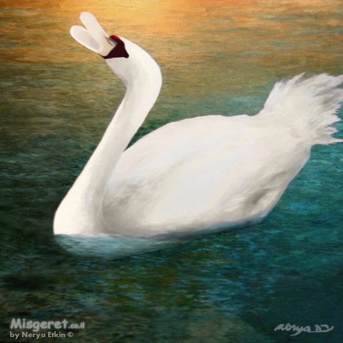 שירת הברבור