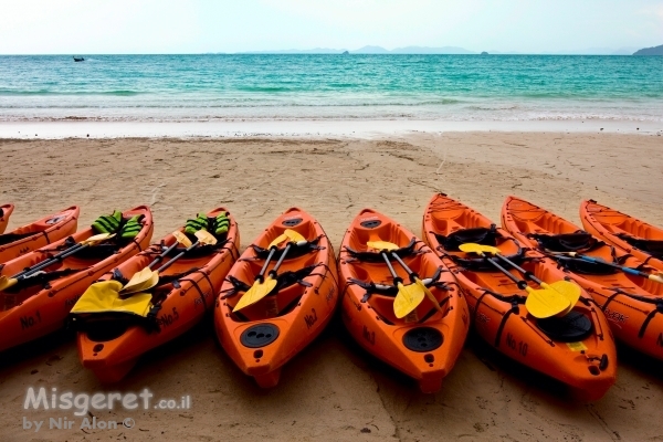 קיאקים כתומים