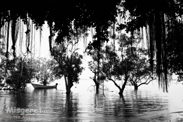 נוף בשחור-לבן