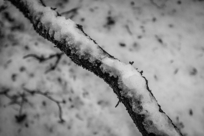 שלג בשחור לבן