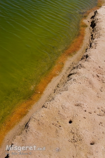 אלכסון צבעוני