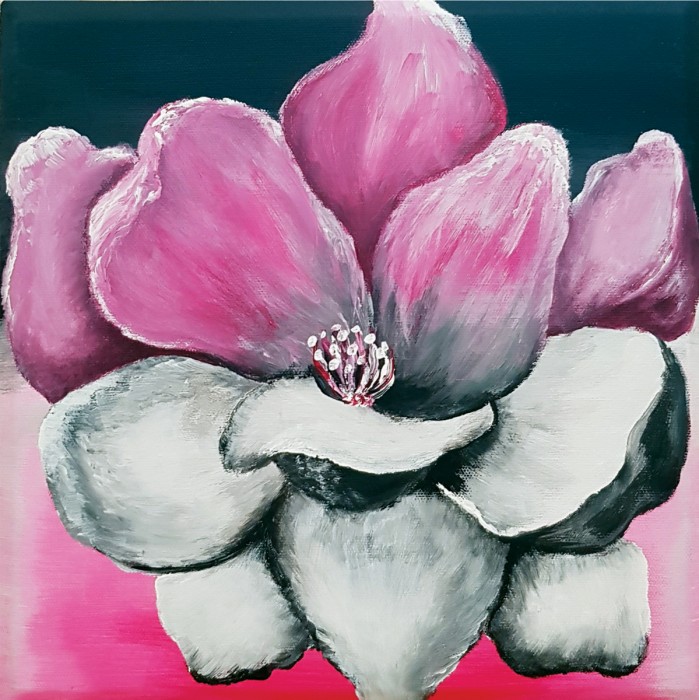 Half Black and Pink
