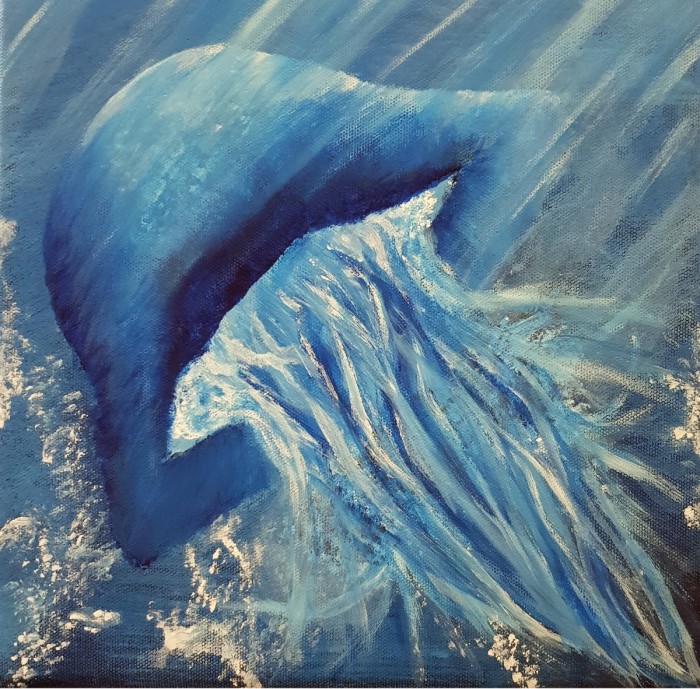 Jellyfish