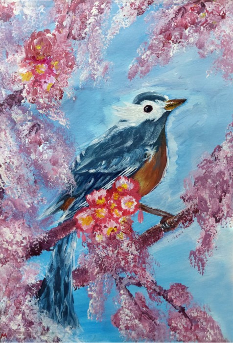 Bird