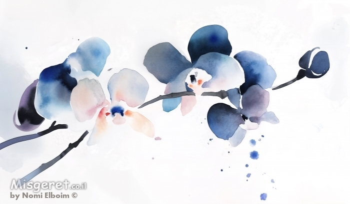 סחלב יפני כחול