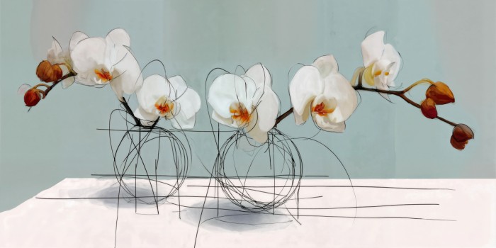 סחלב מאוייר