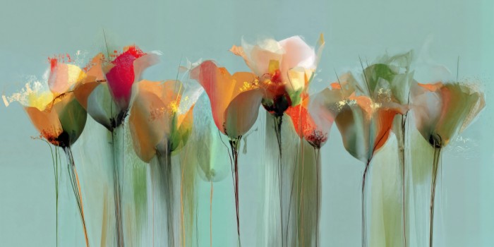 ערוגת טוליפ