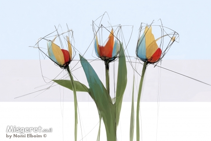 שלושה צבעונים