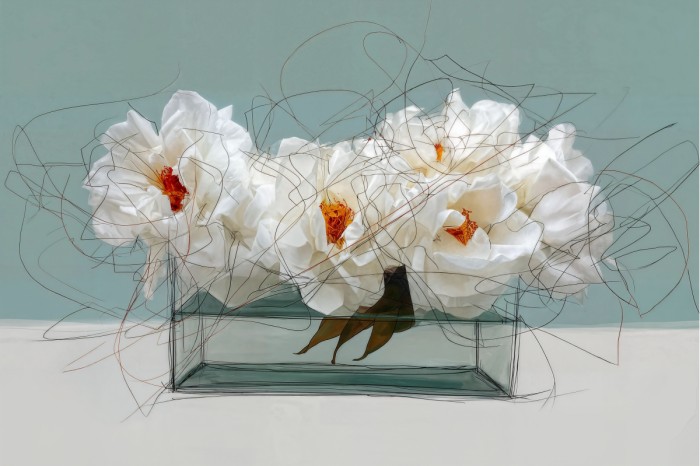 שושנים לבנות