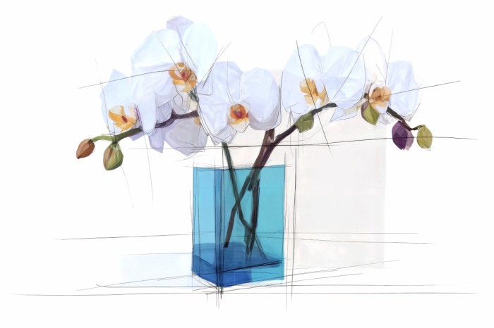 סחלבים בכלי זכוכית