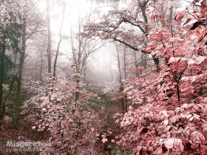 אל תוך האגדה