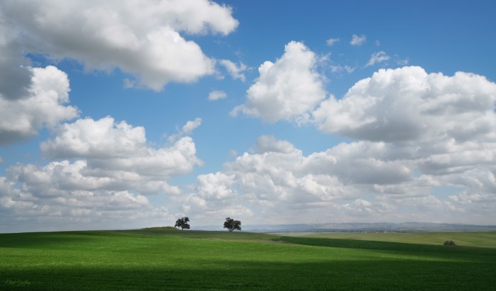 שניים מול שמיים