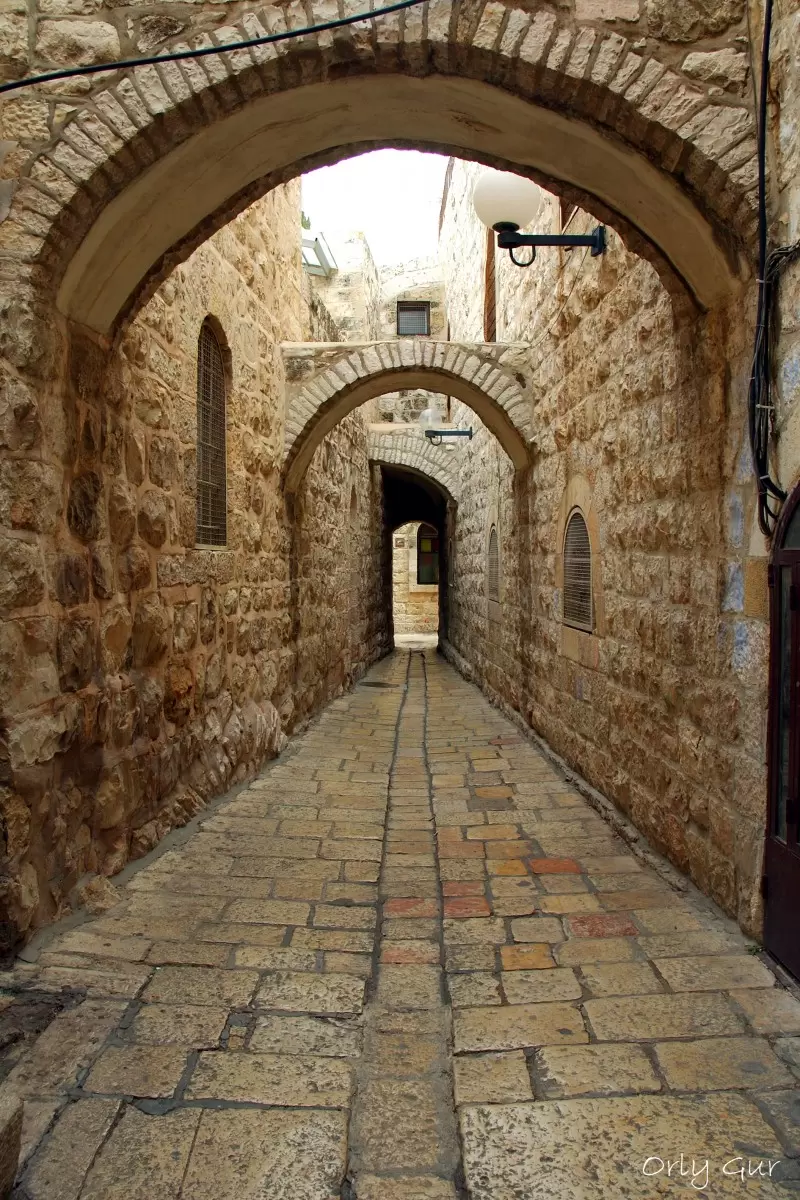 ירושלים 4 - אורלי גור - תמונות בגוון ספיה  - מק''ט: 239630
