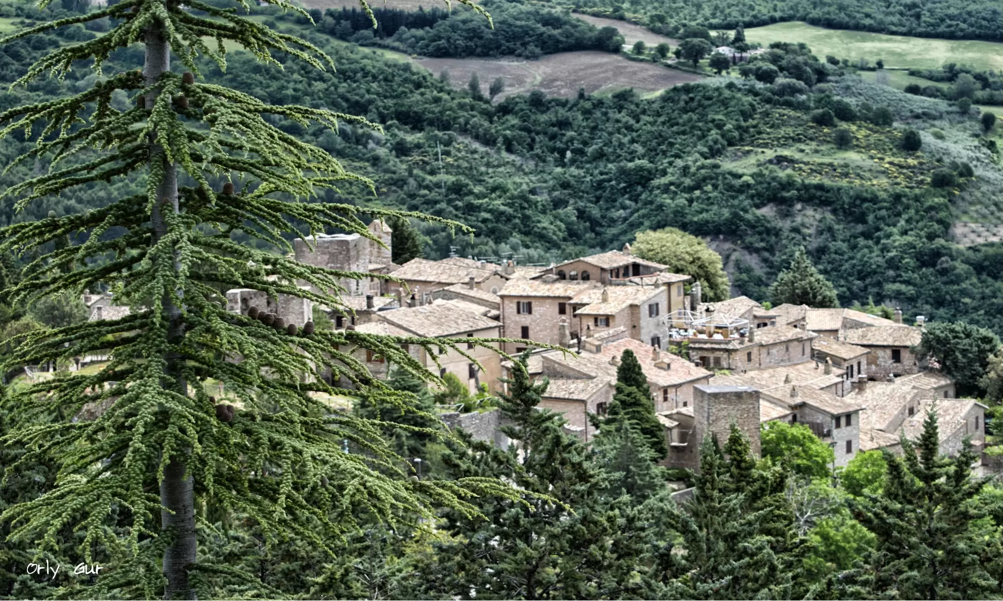 איטליה 15 - אורלי גור - תמונות לסלון כפרי  - מק''ט: 277502