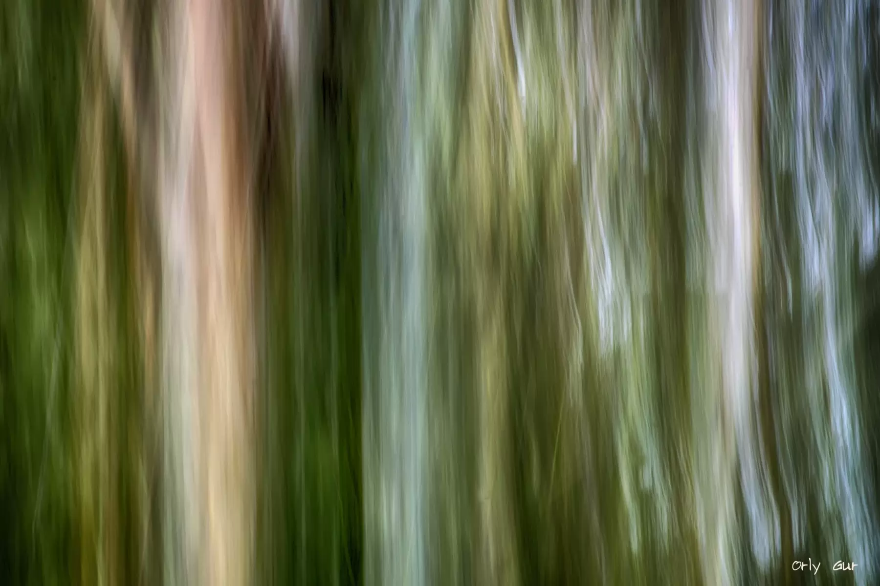 ביער ראש העין 1 - אורלי גור - תמונות לסלון מודרני אבסטרקט פרחוני ובוטני תמונות בחלקים  - מק''ט: 281277