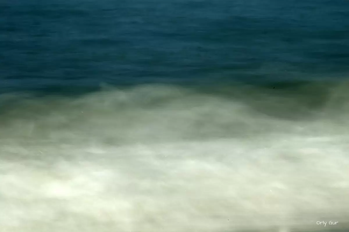 ים 1 - אורלי גור - תמונות אווירה אבסטרקט פרחוני ובוטני  - מק''ט: 339774
