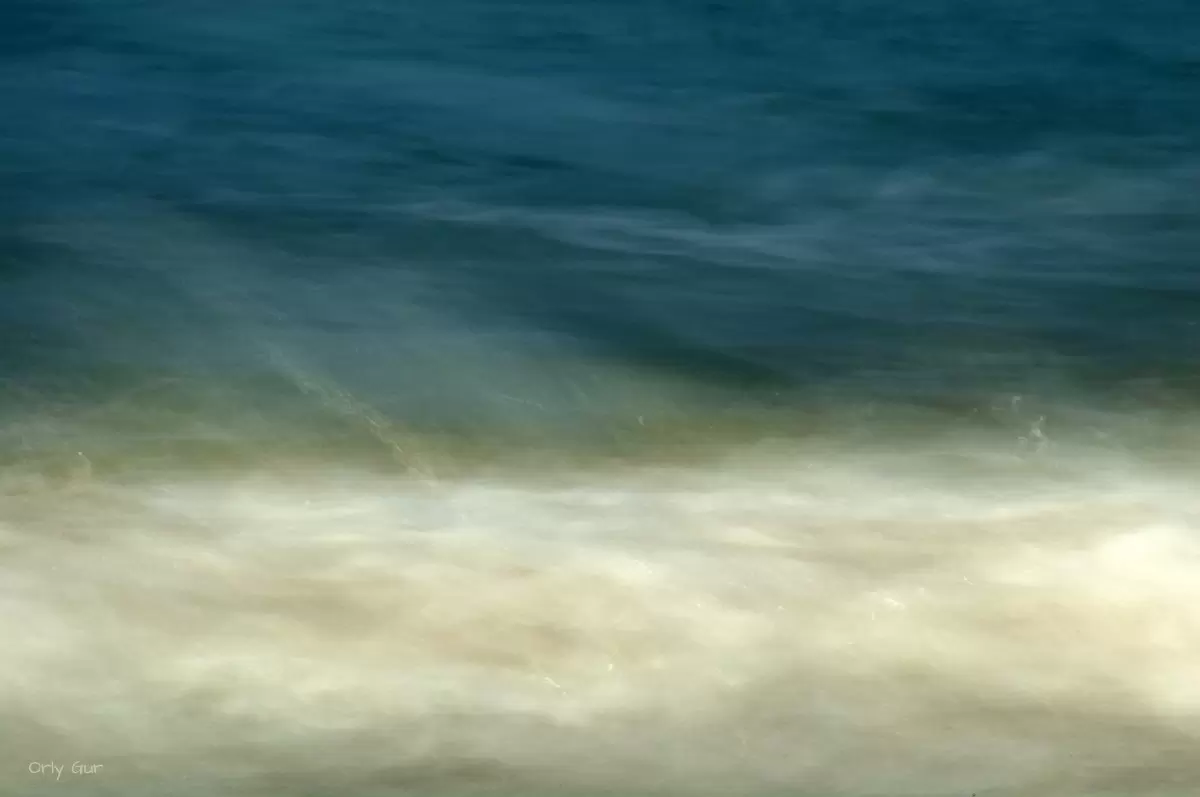 ים 2 - אורלי גור - תמונות ים ושמים לסלון אבסטרקט פרחוני ובוטני  - מק''ט: 339776