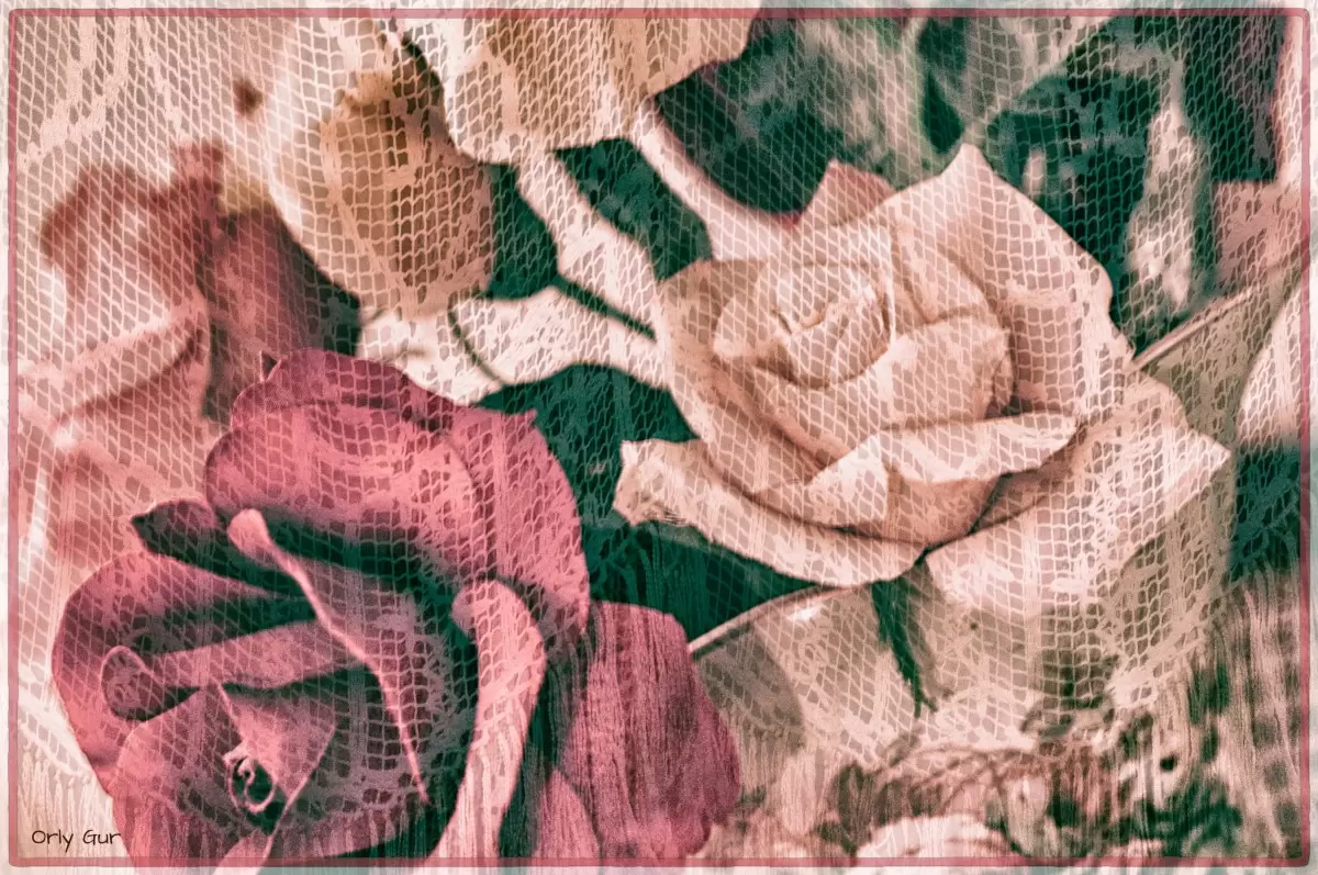 ורדים מאחורי וילון 1 - אורלי גור - תמונות וינטג' לסלון אבסטרקט פרחוני ובוטני  - מק''ט: 339780