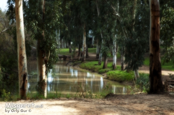מקורות הירקון