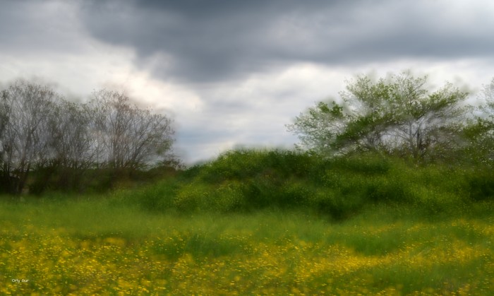 לפני הסערה 3