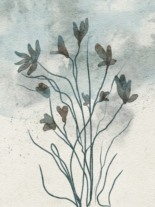 פריחה בתכלת