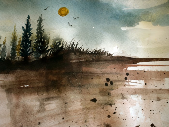 שלוליות חורף